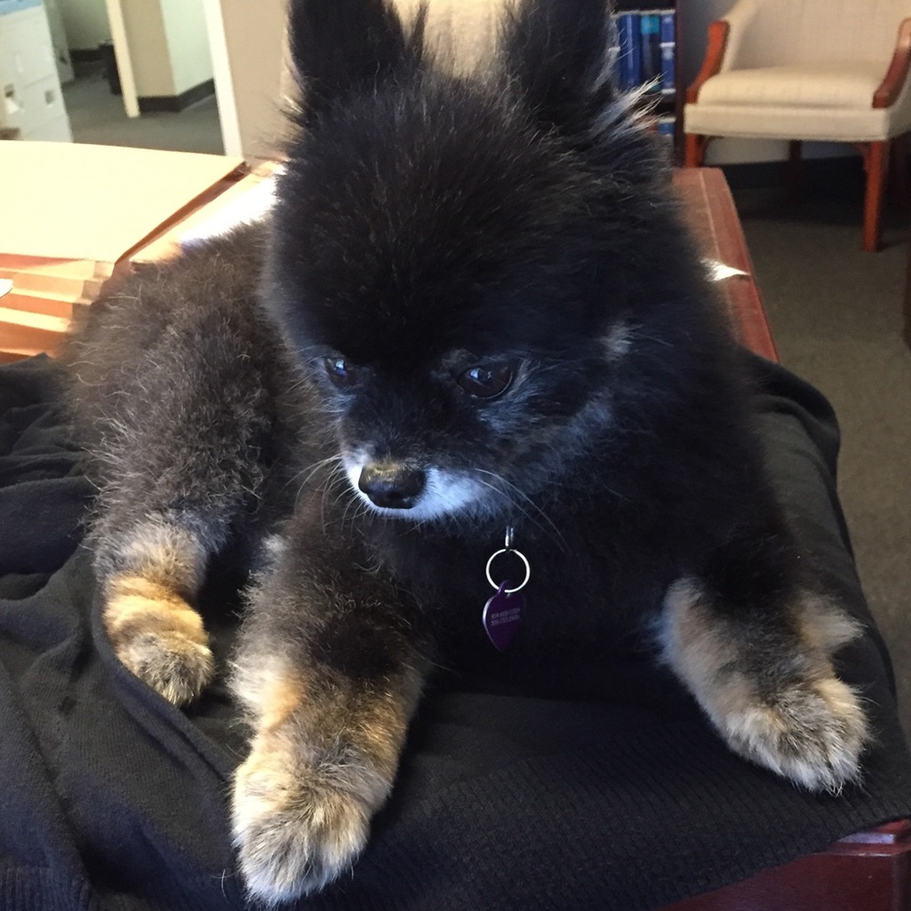 Meet your Posher, Leah